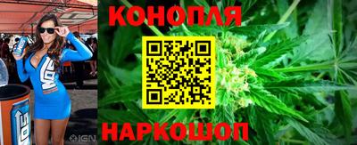 Альфа ПВП Кингисепп