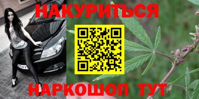 Альфа ПВП Кингисепп