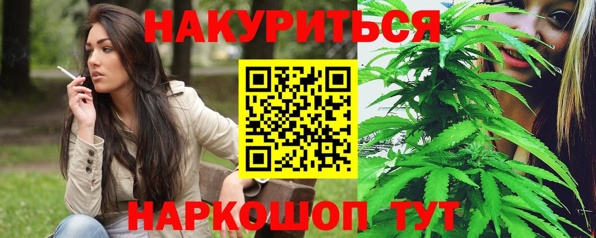 Каннабис планчик Кудымкар